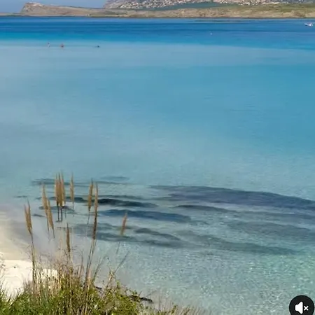 Di Campagna - Da Aurora Konukevi La Maddalena (Sassari)