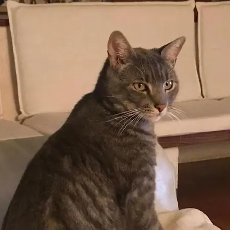 Di Campagna - Da Aurora