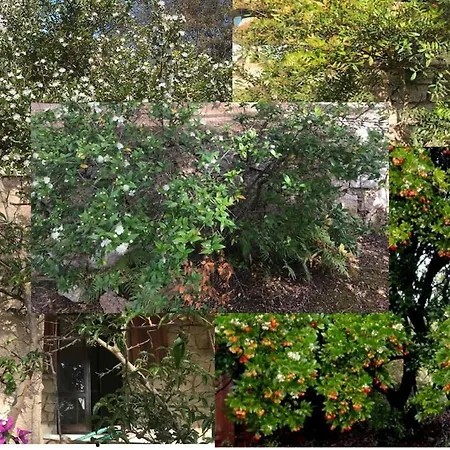 Guest house Di Campagna - Da Aurora *