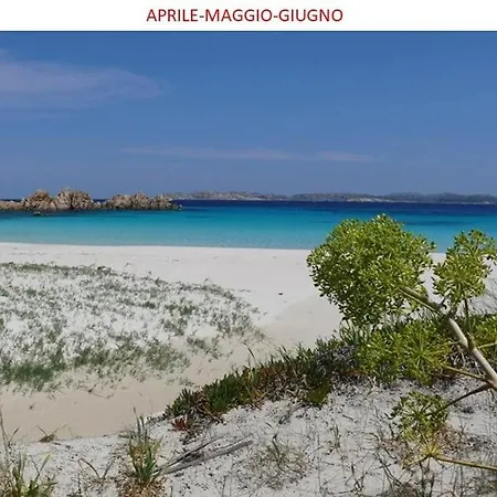 Di Campagna - Da Aurora Pensión 3*